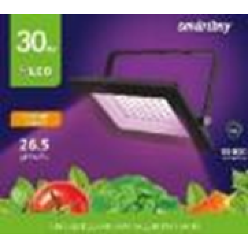 Светодиодный (LED) прожектор FL ФИТО Smartbuy-30W/1300K/IP65 (SBL-FLFITO-30-65K) Светодиодный (LED) прожектор FL ФИТО Smartbuy-30W/1300K/IP65 (SBL-FLFITO-30-65K)